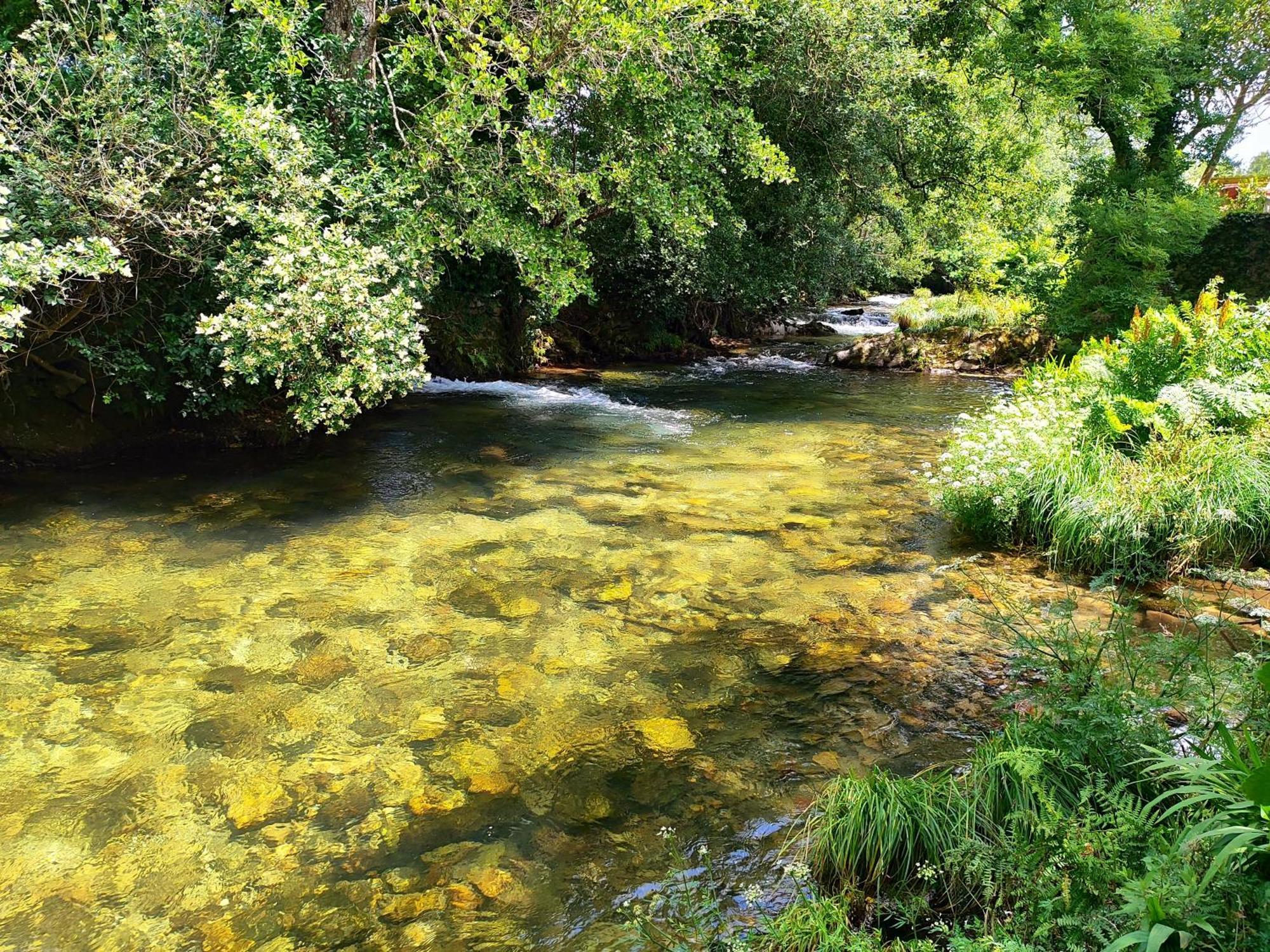 A Casina Do Rio Villa Neda Dış mekan fotoğraf